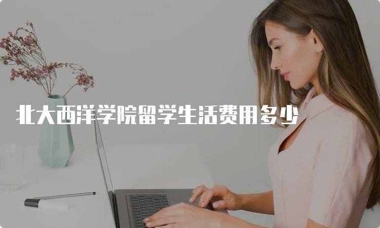 北大西洋学院留学生活费用多少