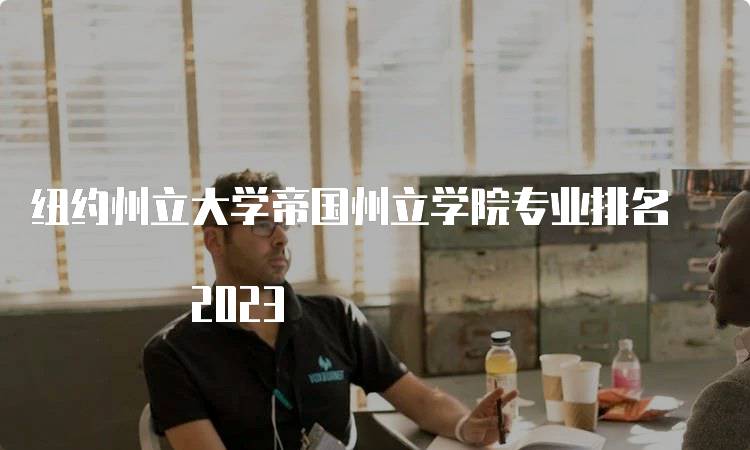 纽约州立大学帝国州立学院专业排名 2023