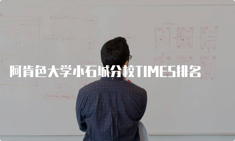 阿肯色大学小石城分校TIMES排名