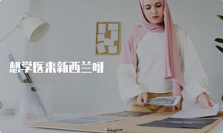 想学医来新西兰呀