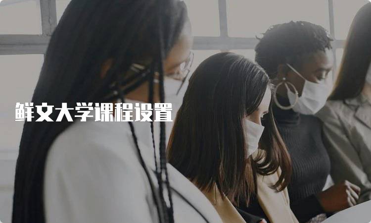 鲜文大学课程设置