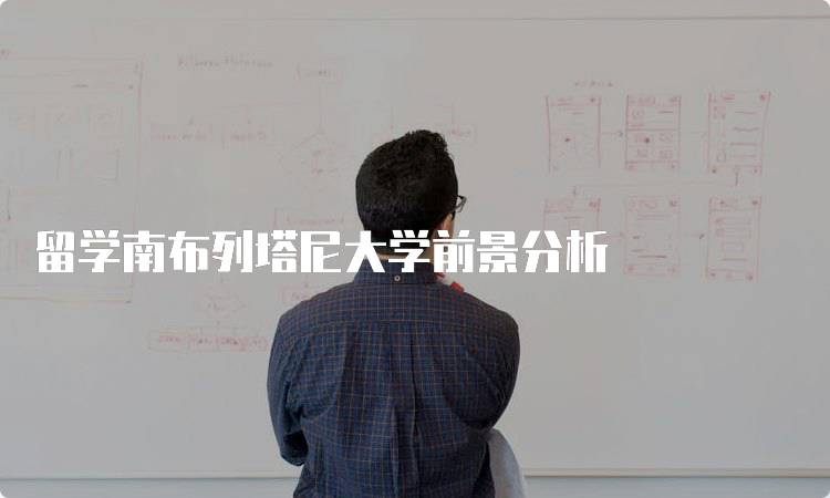 留学南布列塔尼大学前景分析