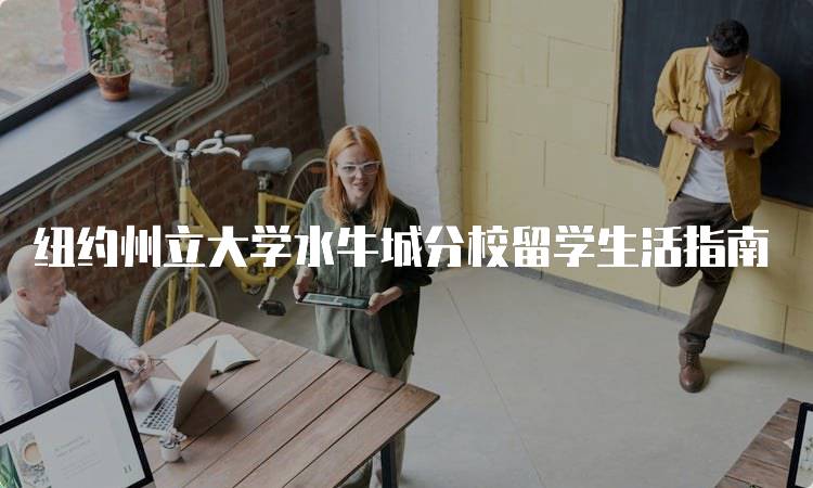 纽约州立大学水牛城分校留学生活指南