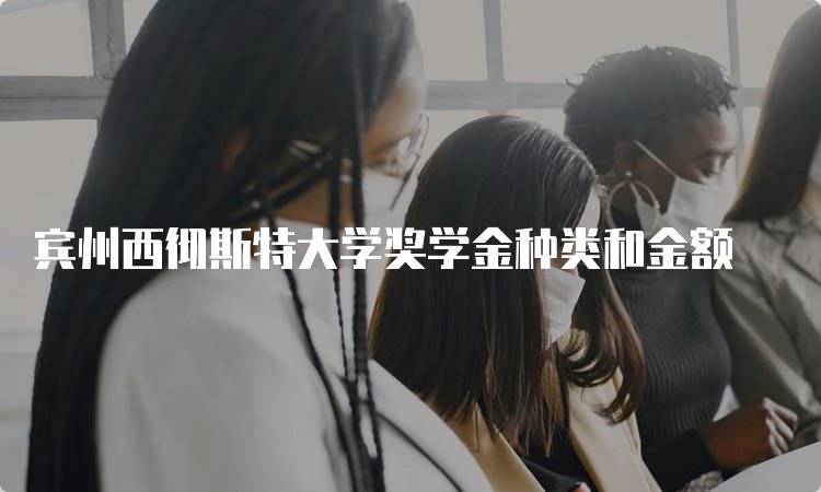 宾州西彻斯特大学奖学金种类和金额