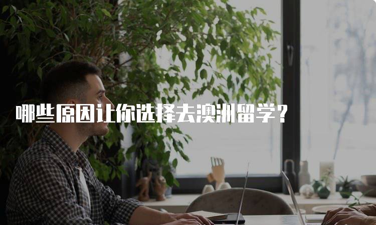 哪些原因让你选择去澳洲留学？