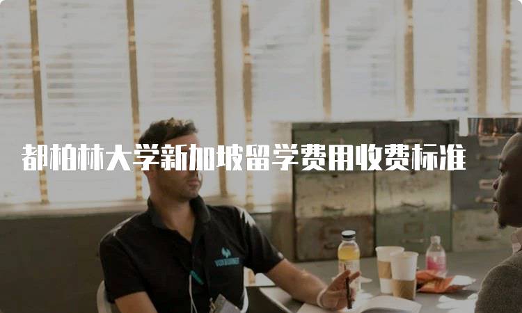 都柏林大学新加坡留学费用收费标准