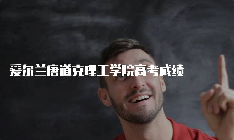 爱尔兰唐道克理工学院高考成绩