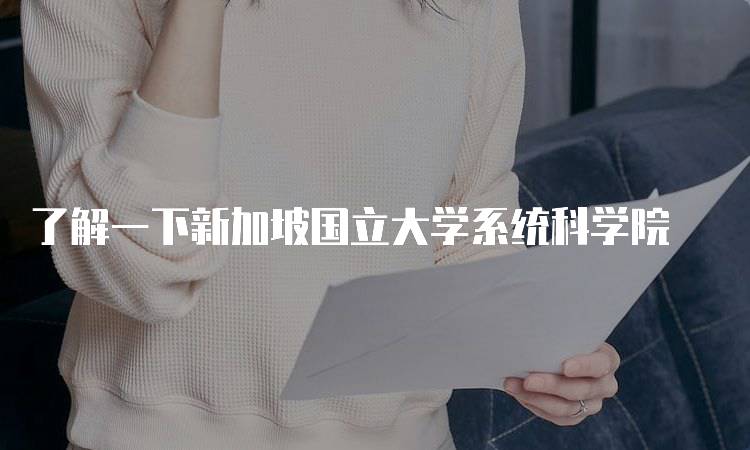 了解一下新加坡国立大学系统科学院