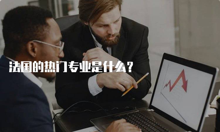 法国的热门专业是什么？