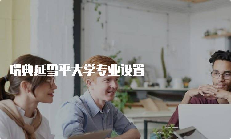 瑞典延雪平大学专业设置
