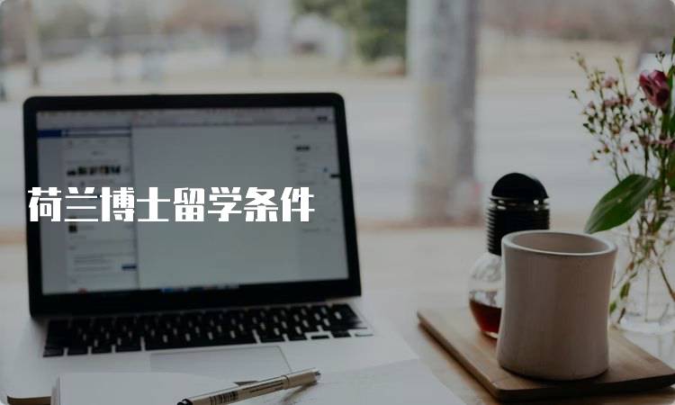 荷兰博士留学条件
