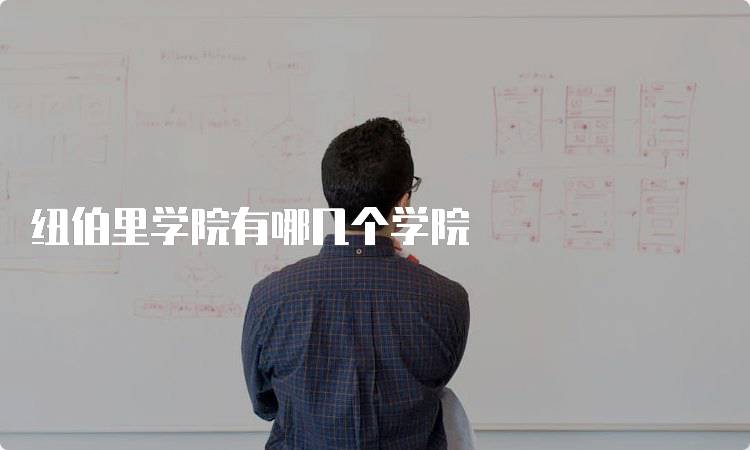 纽伯里学院有哪几个学院