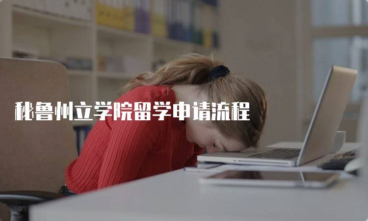 秘鲁州立学院留学申请流程