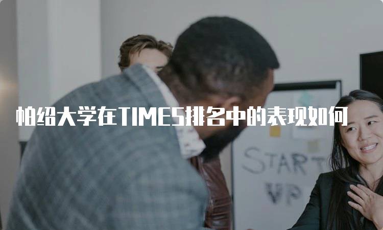 帕绍大学在TIMES排名中的表现如何