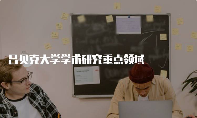 吕贝克大学学术研究重点领域