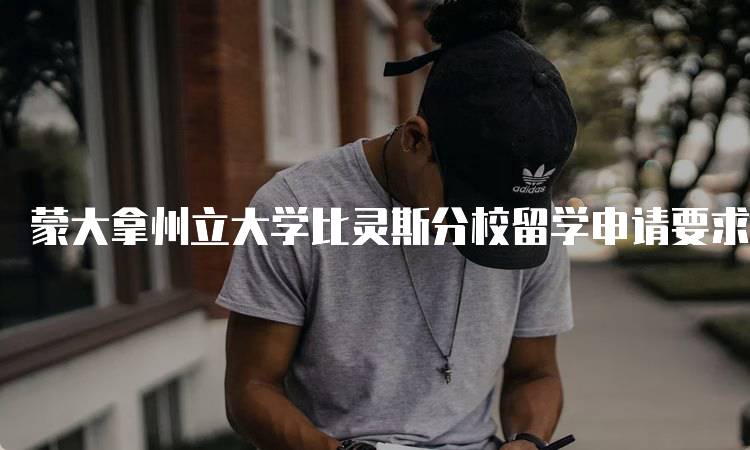蒙大拿州立大学比灵斯分校留学申请要求