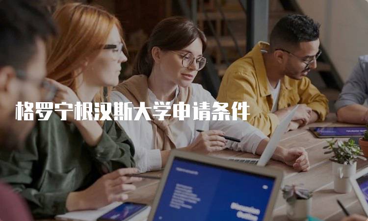 格罗宁根汉斯大学申请条件