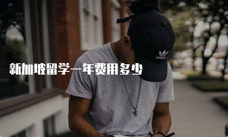 新加坡留学一年费用多少