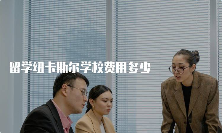 留学纽卡斯尔学校费用多少