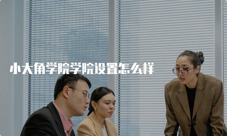 小大角学院学院设置怎么样