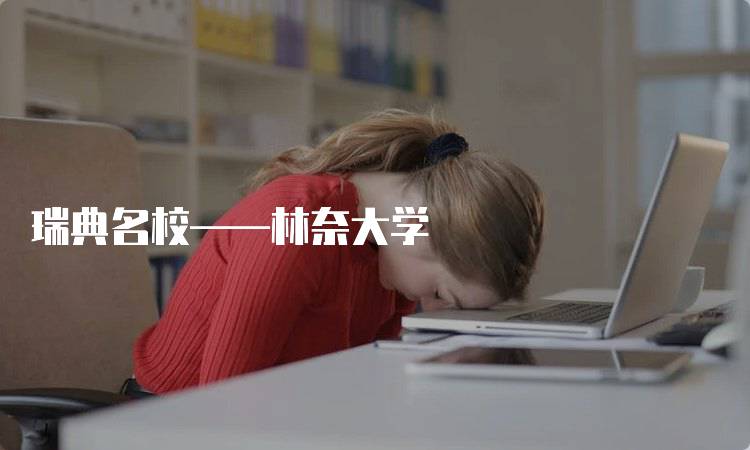 瑞典名校——林奈大学