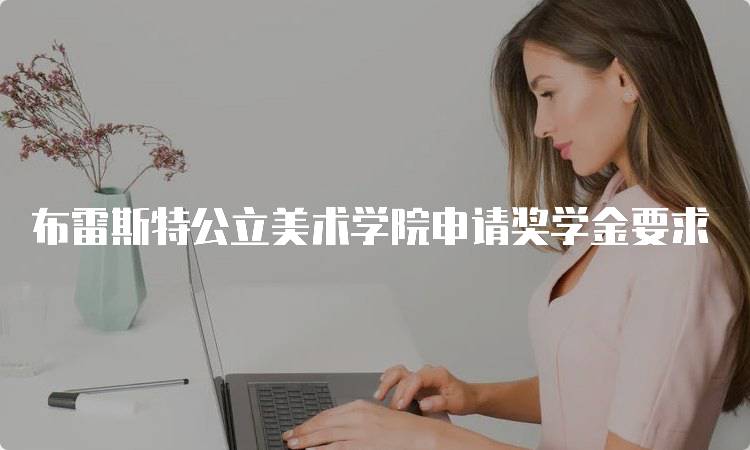 布雷斯特公立美术学院申请奖学金要求