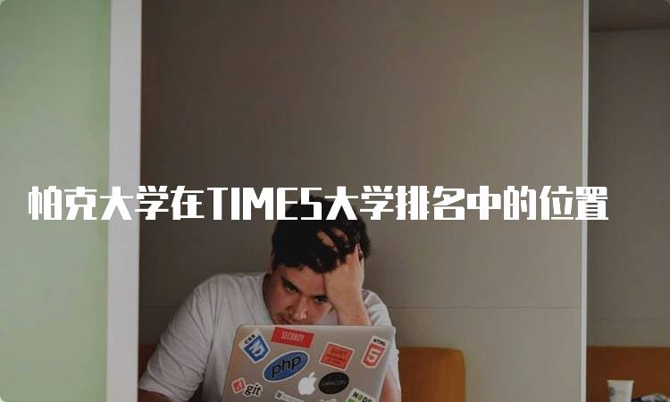 帕克大学在TIMES大学排名中的位置