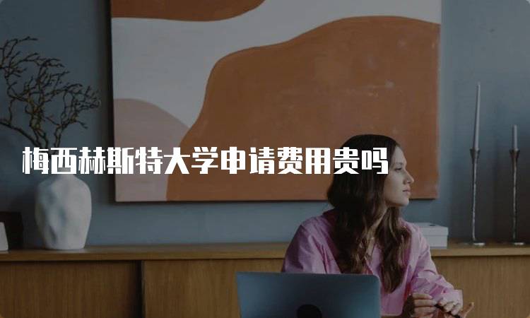 梅西赫斯特大学申请费用贵吗