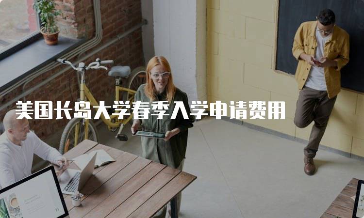 美国长岛大学春季入学申请费用