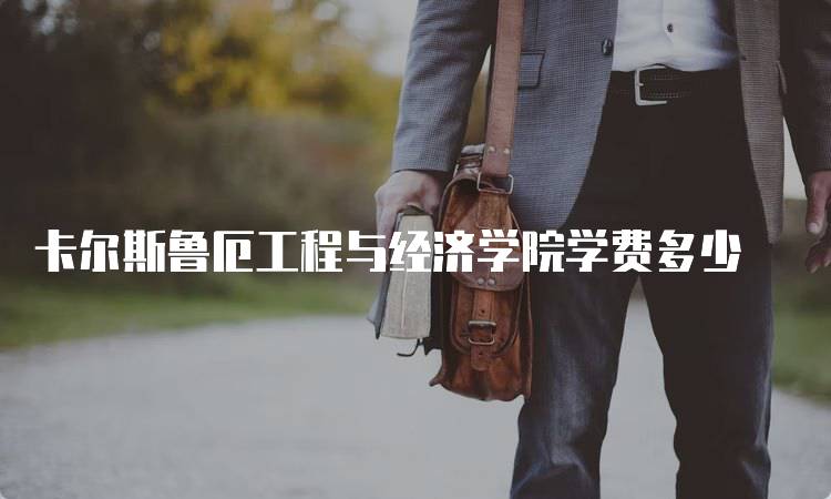 卡尔斯鲁厄工程与经济学院学费多少