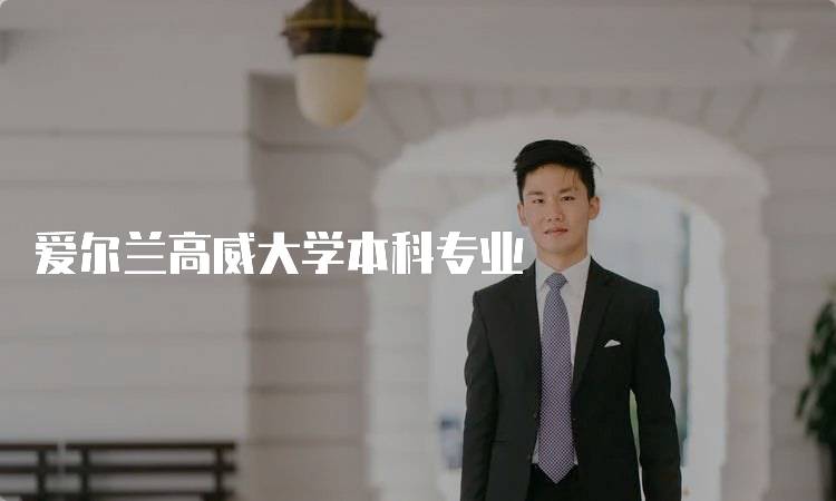 爱尔兰高威大学本科专业