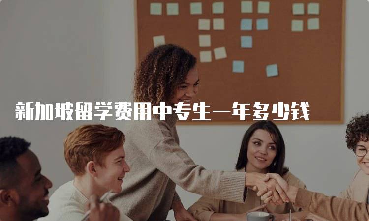 新加坡留学费用中专生一年多少钱