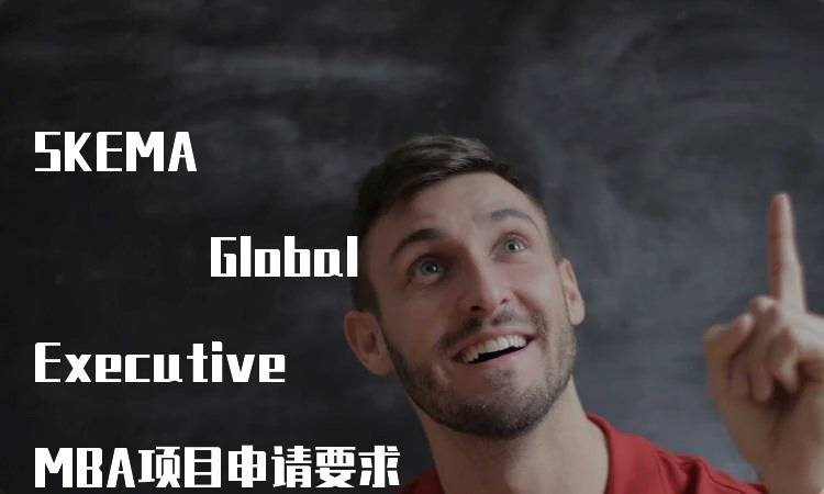 SKEMA Global Executive MBA项目申请要求