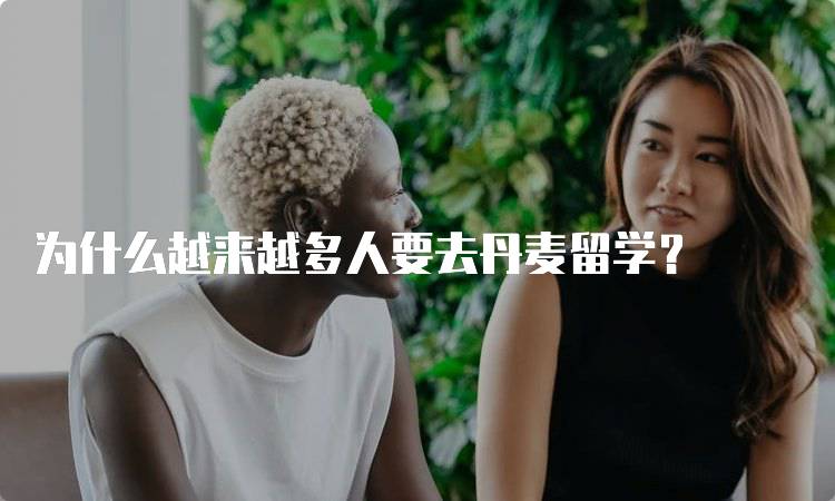 为什么越来越多人要去丹麦留学？