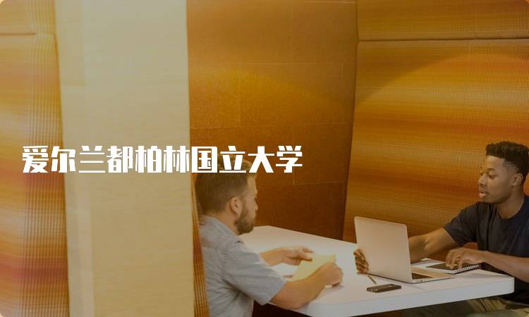 爱尔兰都柏林国立大学