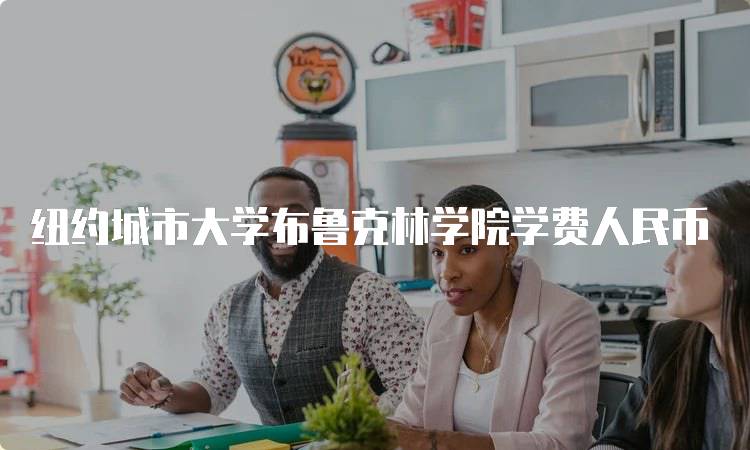 纽约城市大学布鲁克林学院学费人民币