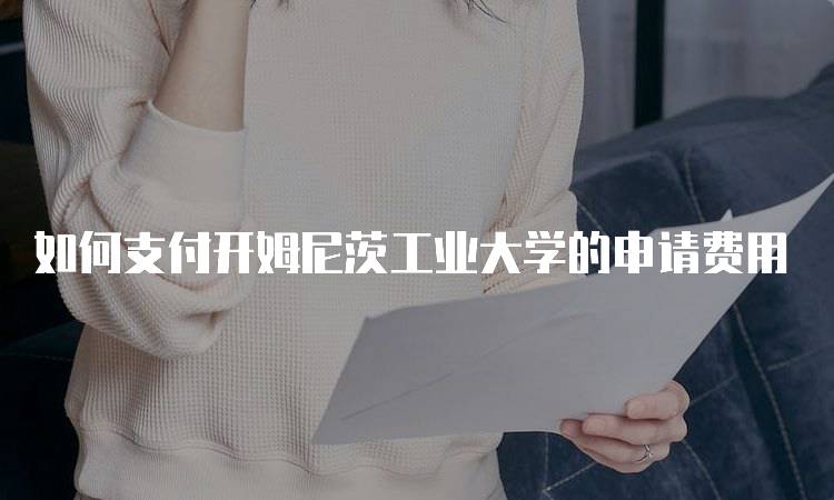 如何支付开姆尼茨工业大学的申请费用