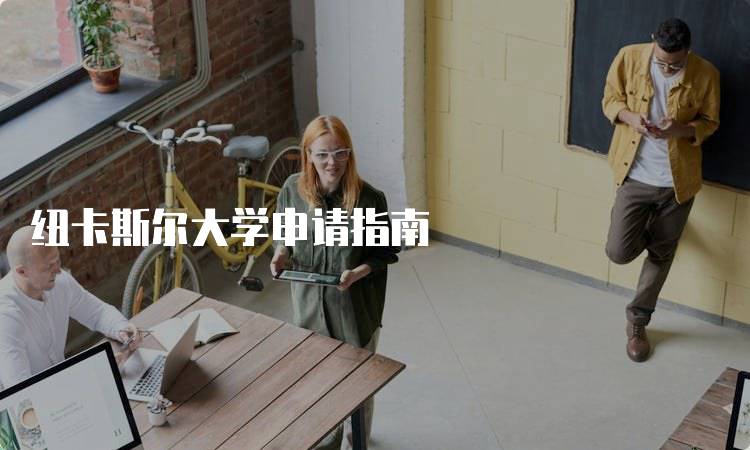 纽卡斯尔大学申请指南