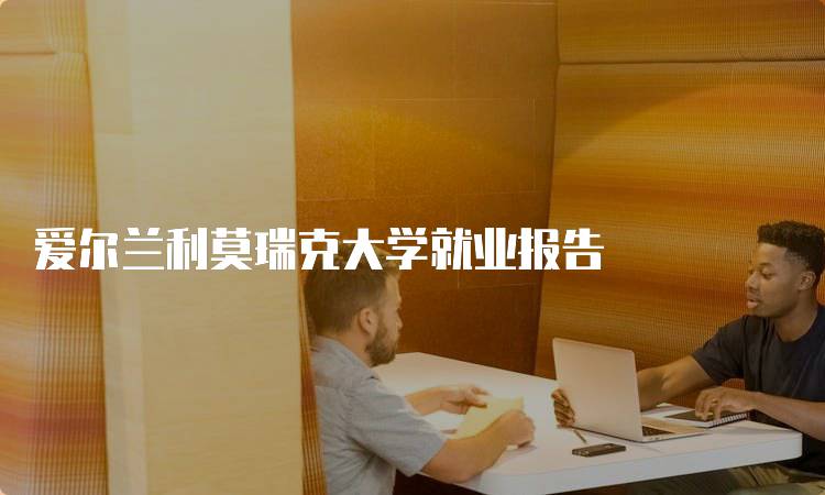 爱尔兰利莫瑞克大学就业报告