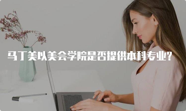 马丁美以美会学院是否提供本科专业？