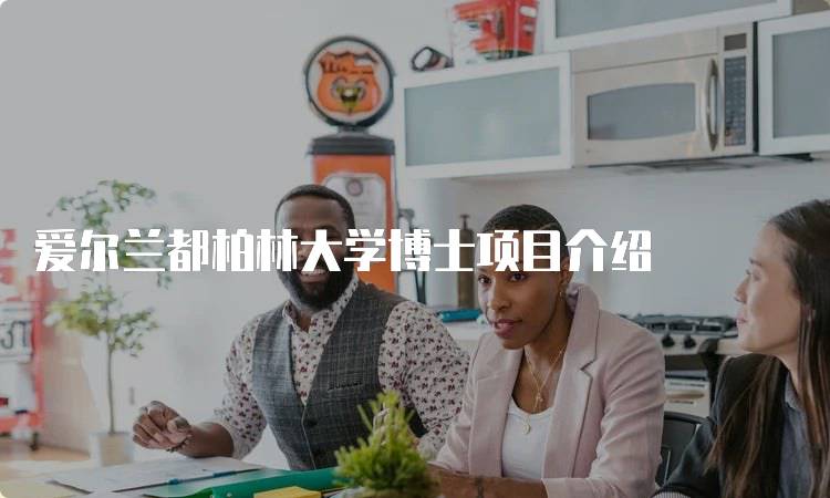 爱尔兰都柏林大学博士项目介绍