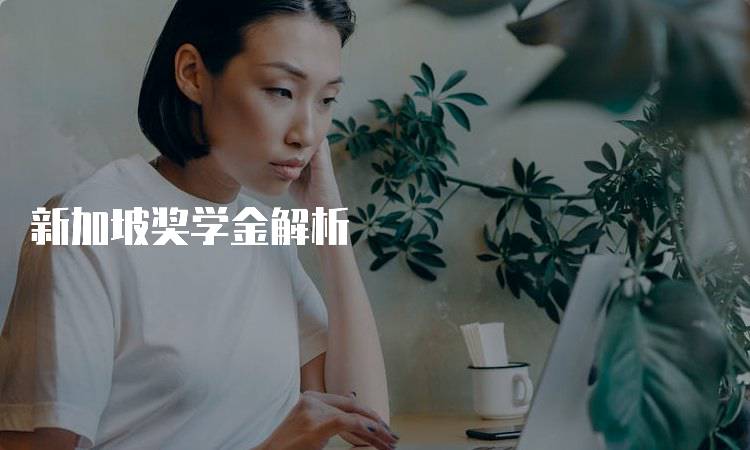 新加坡奖学金解析