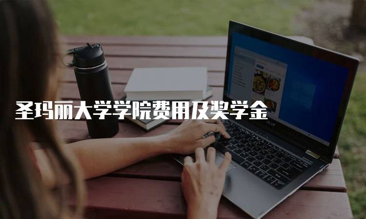 圣玛丽大学学院费用及奖学金