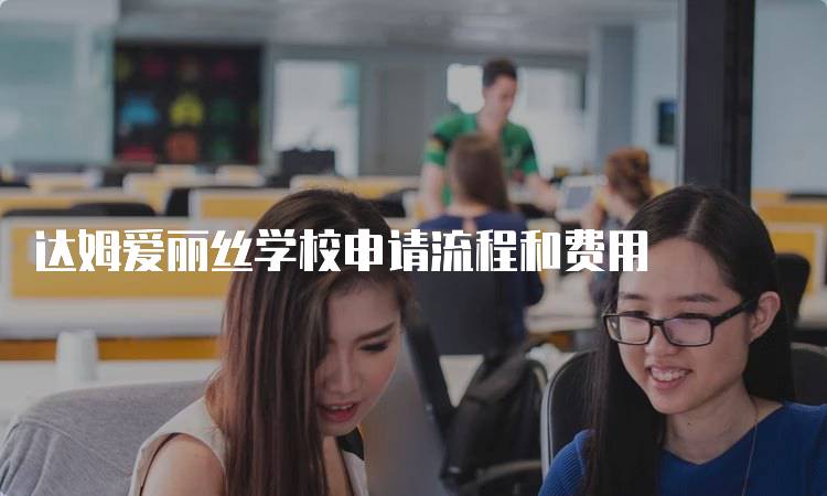 达姆爱丽丝学校申请流程和费用