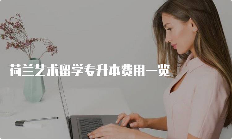 荷兰艺术留学专升本费用一览