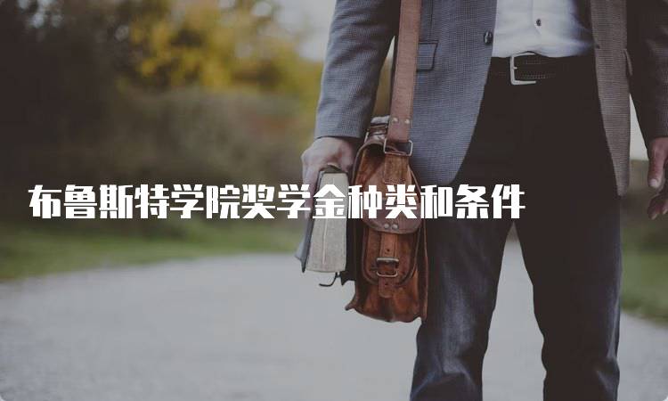 布鲁斯特学院奖学金种类和条件