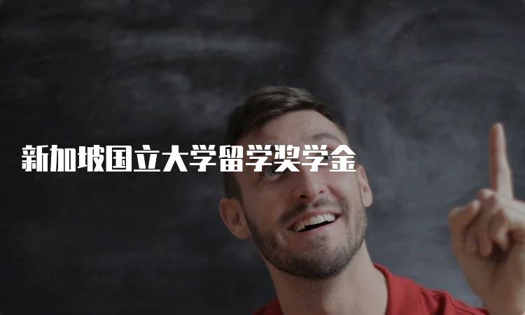 新加坡国立大学留学奖学金