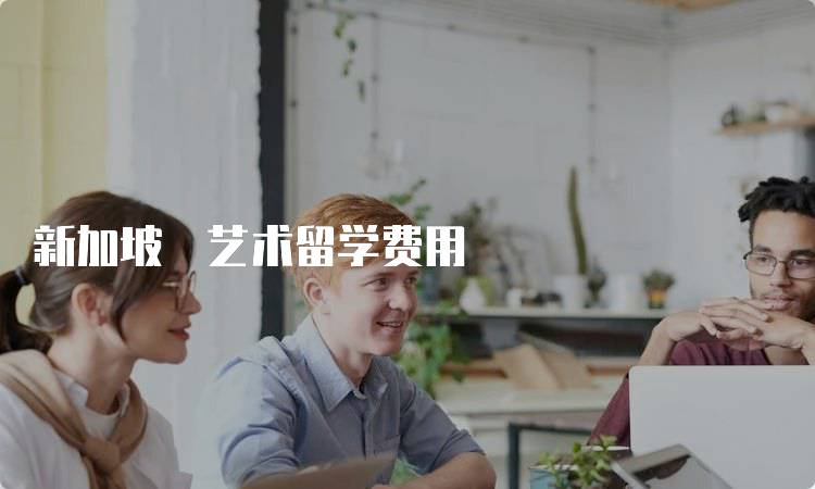 新加坡鉲艺术留学费用