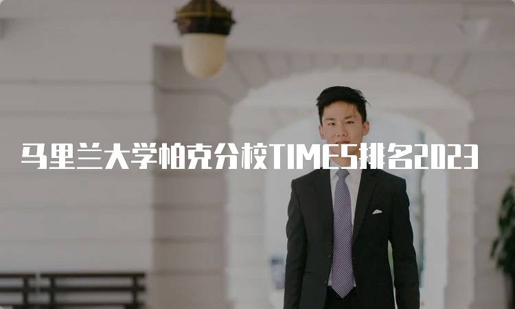 马里兰大学帕克分校TIMES排名2023