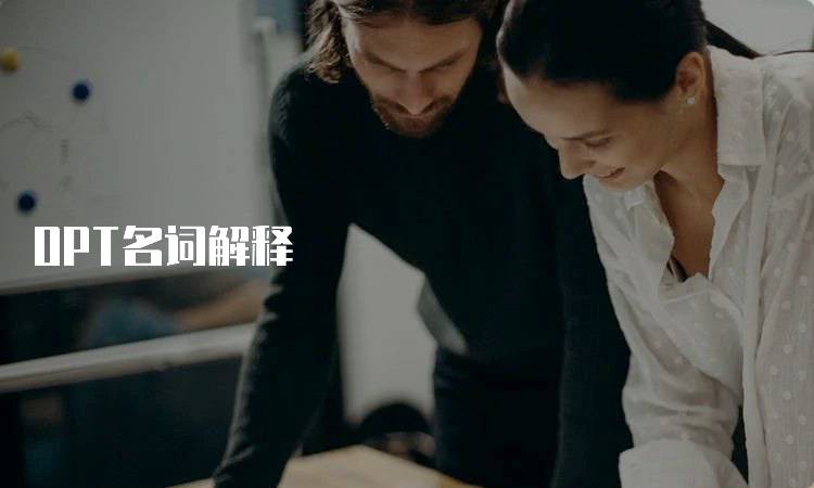 OPT名词解释